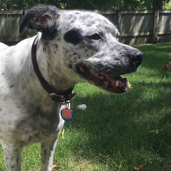 Meet your Posher, Kristine - Picture 1 of 1